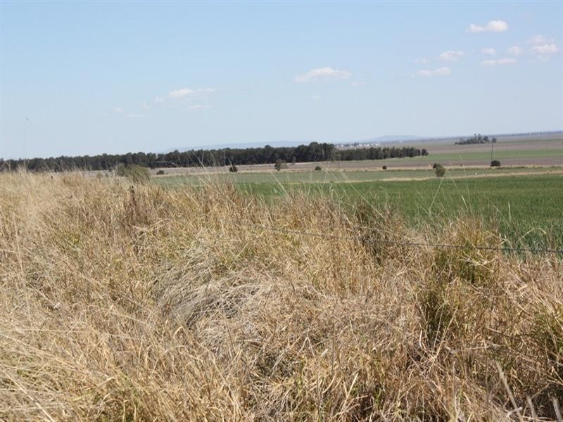 0 Petersen Road, Pittsworth QLD 4356