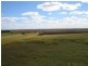 396 Evanslea Road, Pittsworth QLD 4356
