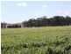 396 Evanslea Road, Pittsworth QLD 4356