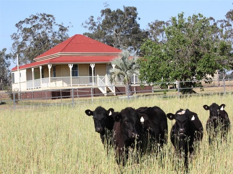 985 Biddeston Southbrook Road, Southbrook QLD 4363