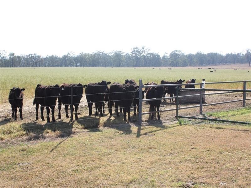 985 Biddeston Southbrook Road, Southbrook QLD 4363