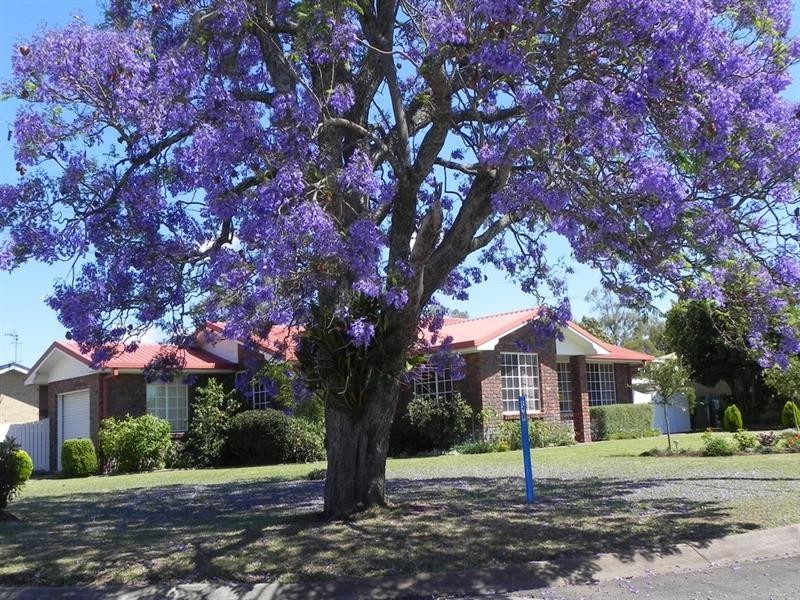 2 White, Pittsworth QLD 4356