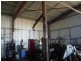 0 Grevillea, Pittsworth QLD 4356