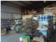 0 Grevillea, Pittsworth QLD 4356