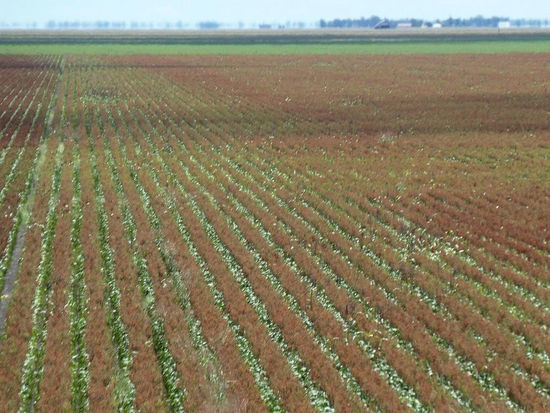 0 F Kents Road, Bongeen QLD 4356