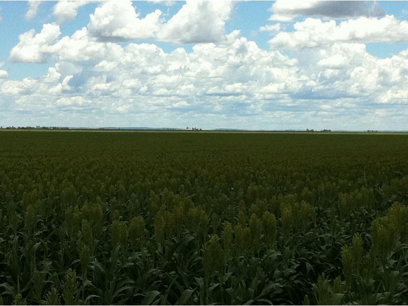 0 F Kents Road, Bongeen QLD 4356