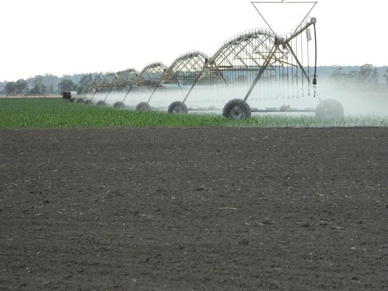 13272 Warrego Highway, Jondaryan QLD 4403