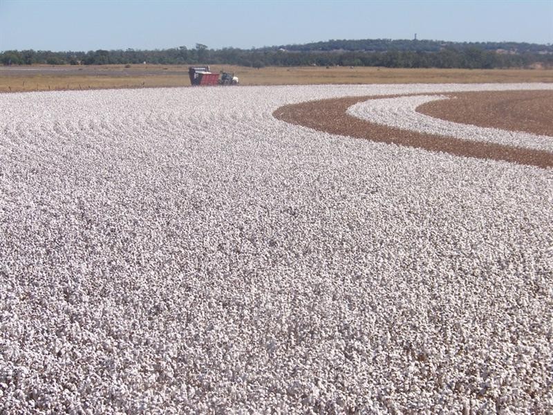 13272 Warrego Highway, Jondaryan QLD 4403