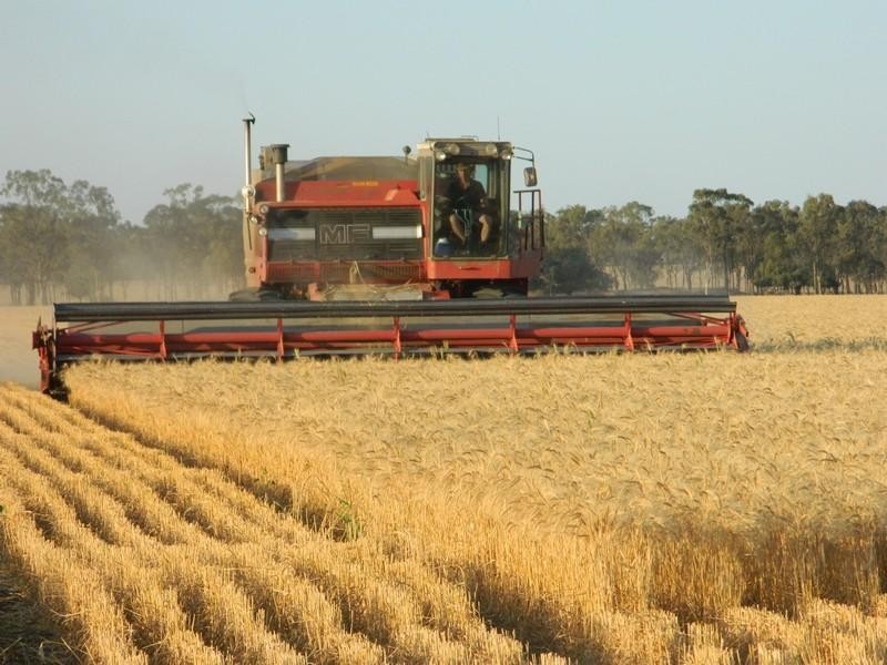 13272 Warrego Highway, Jondaryan QLD 4403