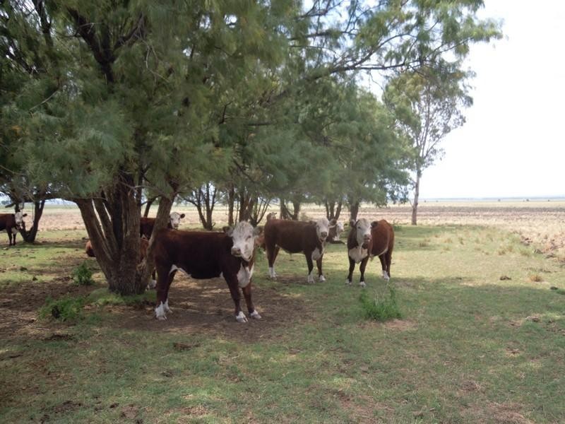 0 Kincora Road, Pittsworth QLD 4356