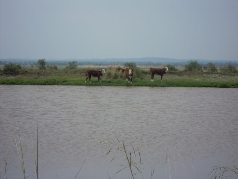 0 Kincora Road, Pittsworth QLD 4356