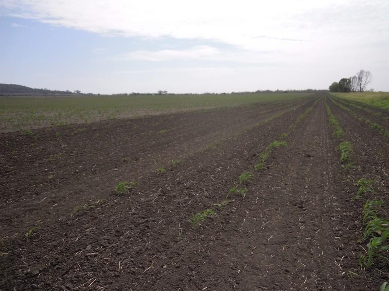 0 Kincora Road, Pittsworth QLD 4356