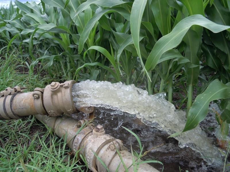 2189 Clifton Leyburn Road, Clifton QLD 4361