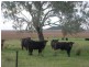 Lot 46 Toowoomba Cecil Plains Road, Mount Tyson QLD 4356