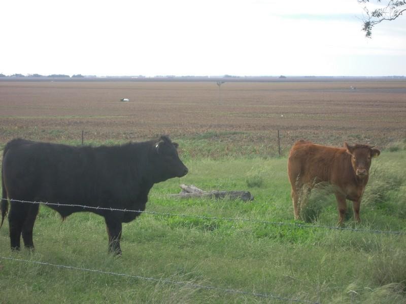 Lot 46 Toowoomba Cecil Plains Road, Mount Tyson QLD 4356