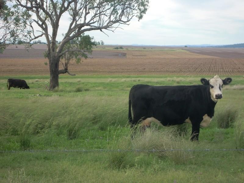 Lot 46 Toowoomba Cecil Plains Road, Mount Tyson QLD 4356