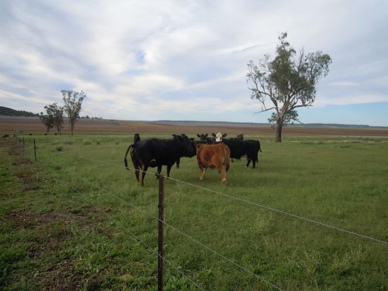 Lot 46 Toowoomba Cecil Plains Road, Mount Tyson QLD 4356