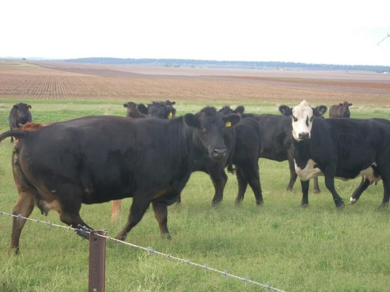 Lot 46 Toowoomba Cecil Plains Road, Mount Tyson QLD 4356