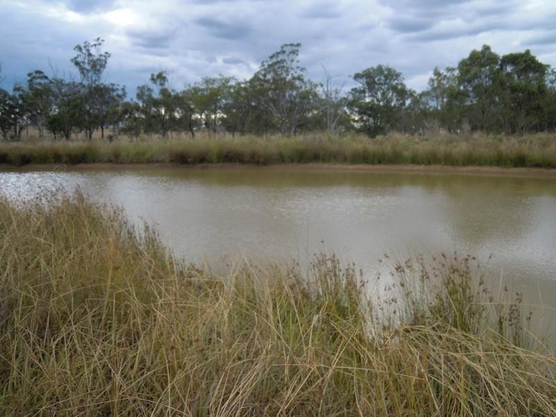 1889 Warwick-Allora Road, Deuchar QLD 4362