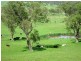 388 Berghofers Road, Athol QLD 4350