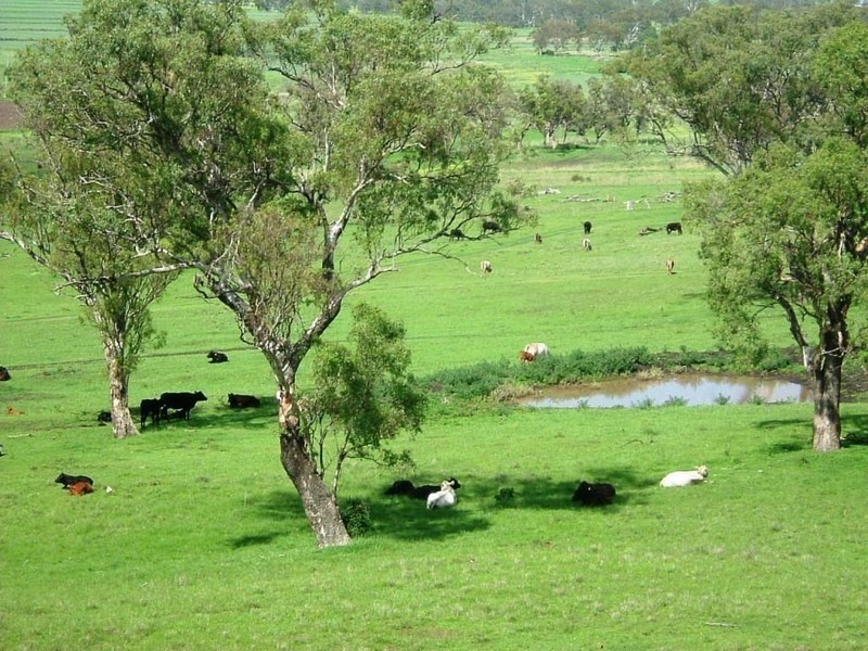 388 Berghofers Road, Athol QLD 4350