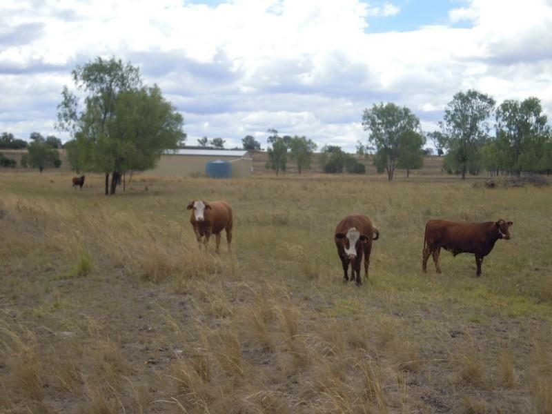 0 Sullivan Road, Pittsworth QLD 4356