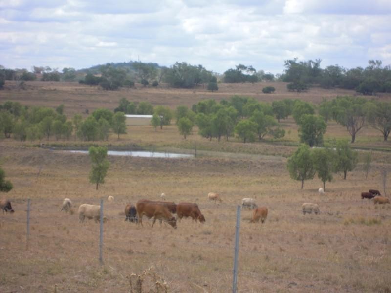 0 Sullivan Road, Pittsworth QLD 4356
