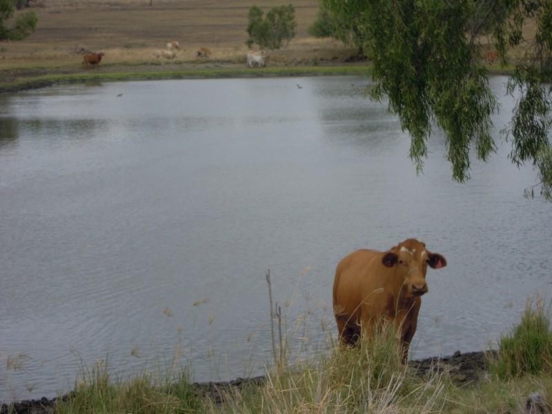 0 Sullivan Road, Pittsworth QLD 4356