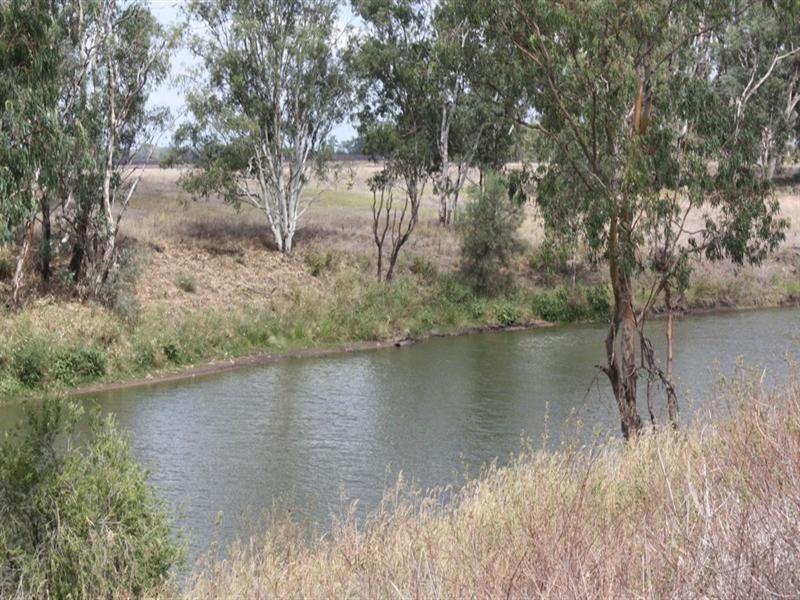 1277 Millmerran Leyburn Road, Yandilla QLD 4352