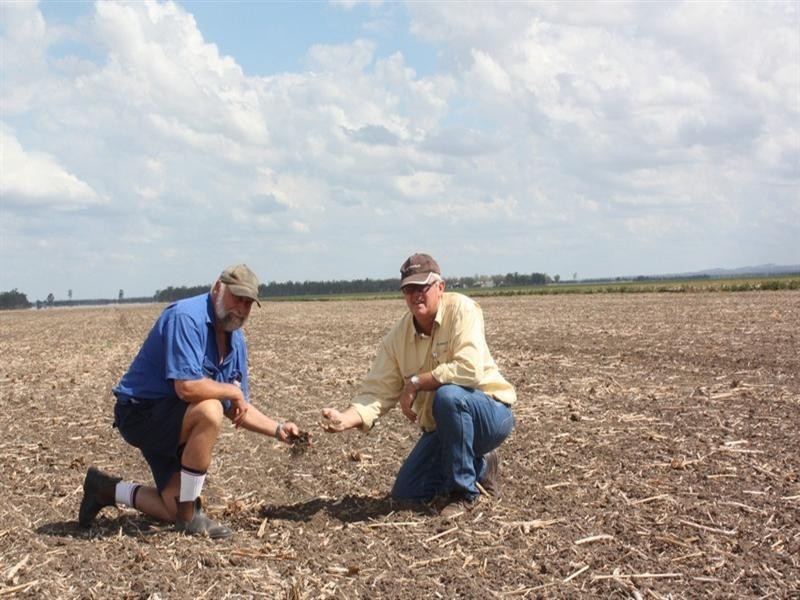 1277 Millmerran Leyburn Road, Yandilla QLD 4352