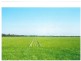 1277 Millmerran Leyburn Road, Yandilla QLD 4352