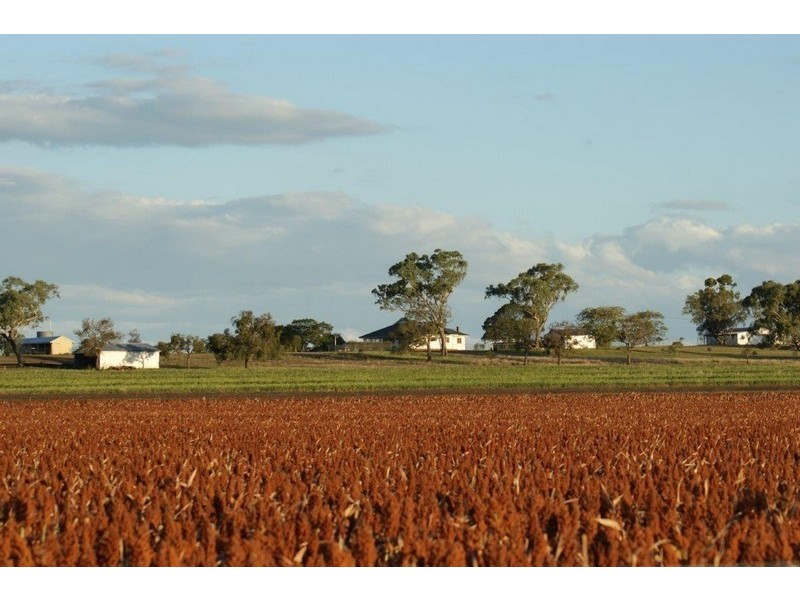 3775 Toowoomba Karara Road, Felton South QLD 4358