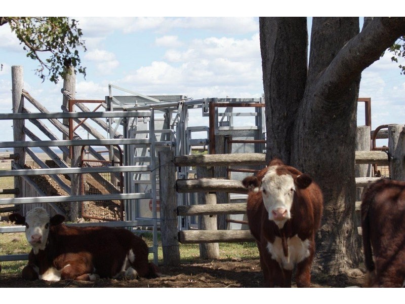 3775 Toowoomba Karara Road, Felton South QLD 4358