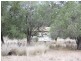 0 Linthorpe Road, Linthorpe QLD 4356