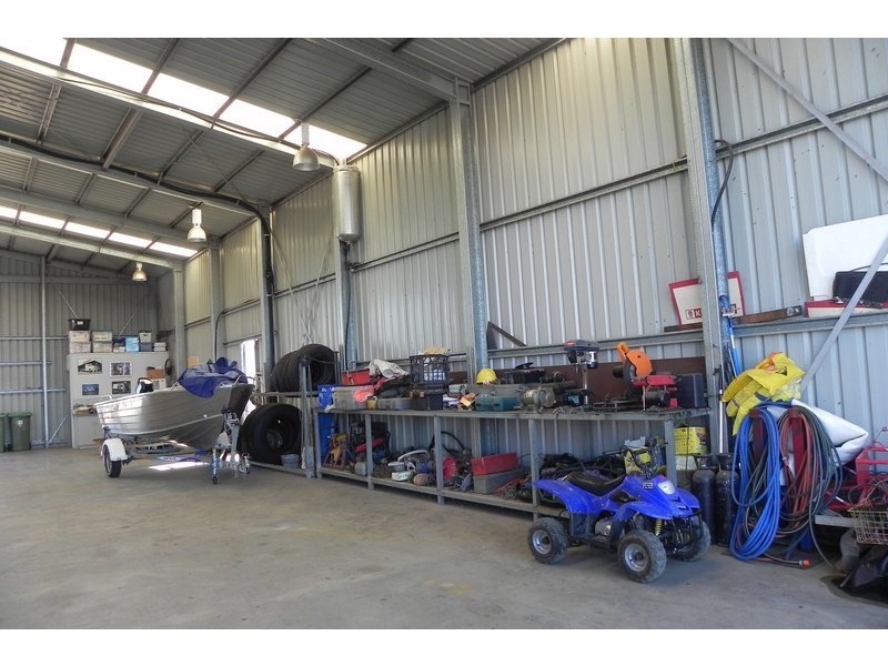 0 Grevillea, Pittsworth QLD 4356