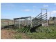 357 Sullivan Road, Scrubby Mountain QLD 4356