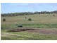 357 Sullivan Road, Scrubby Mountain QLD 4356