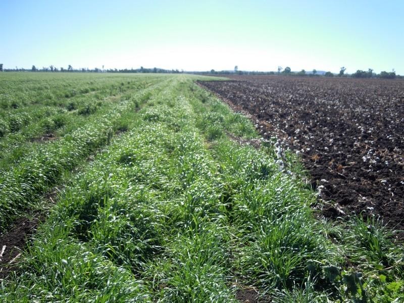 0 Leyburn Millmerran Road, Millmerran QLD 4357