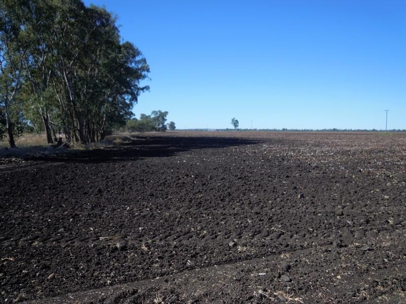 0 Leyburn Millmerran Road, Millmerran QLD 4357