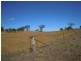 767 Irongate Road, Pittsworth QLD 4356