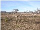 1 Berghofers Road, Pittsworth QLD 4356