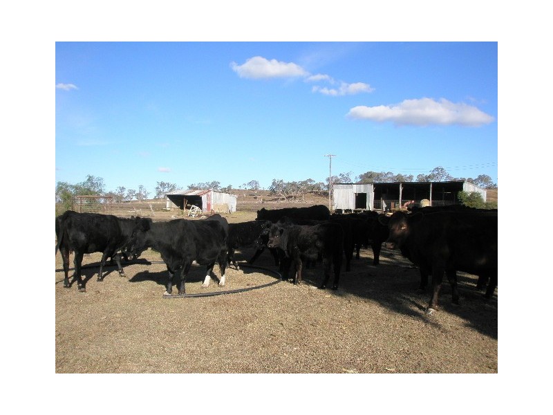 1 Berghofers Road, Pittsworth QLD 4356