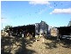 1 Berghofers Road, Pittsworth QLD 4356