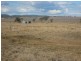 0 May Road, Ellangowan QLD 4361
