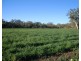 0 Back Plains Road, Nobby QLD 4360