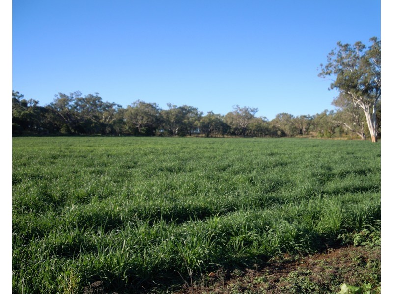 0 Back Plains Road, Nobby QLD 4360