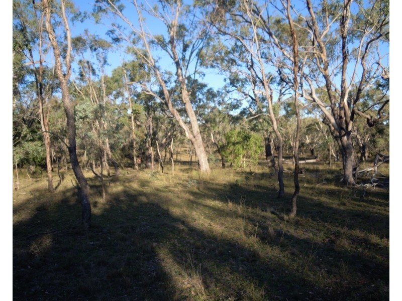 0 Back Plains Road, Nobby QLD 4360
