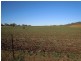 0 Ted Mengel Road, Nobby QLD 4360