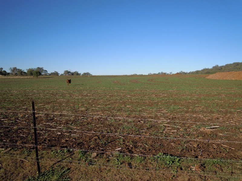 0 Ted Mengel Road, Nobby QLD 4360
