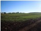 0 Ted Mengel Road, Nobby QLD 4360